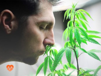 Детоксикация от марихуаны в Муравленко